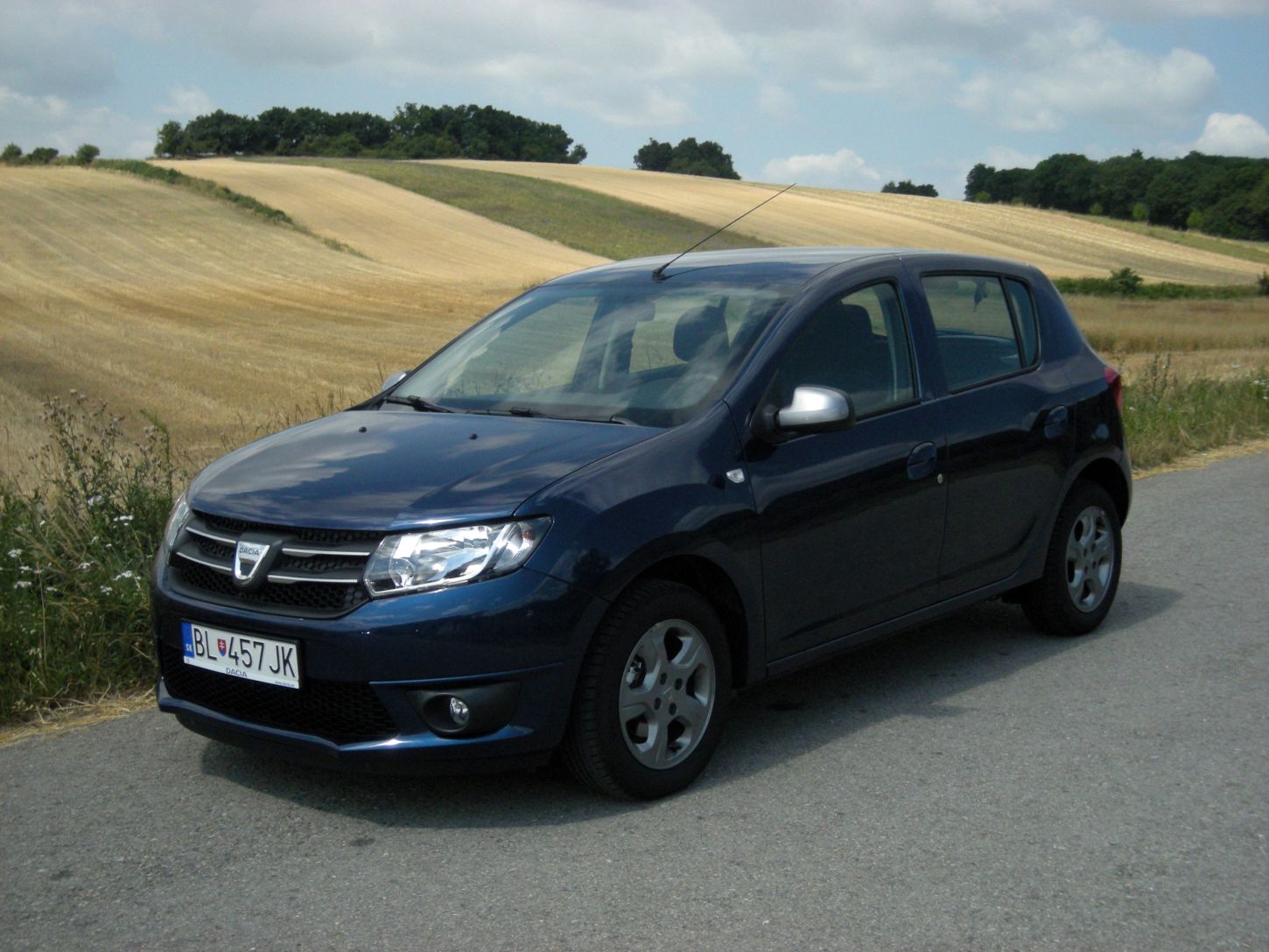 sandero-celebr-5930g.jpg