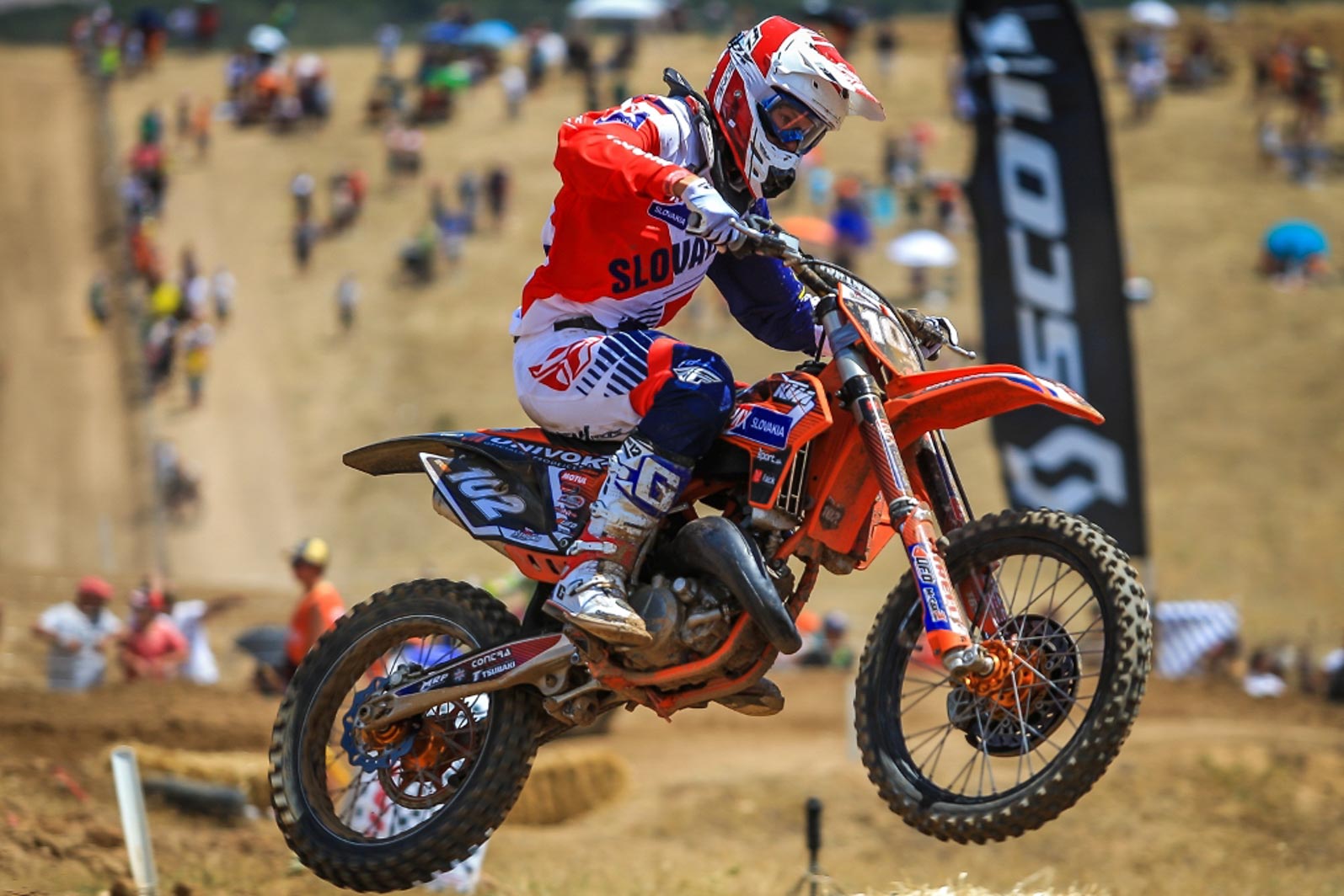 MX Slovakia sikyna-el-molar-02.jpg