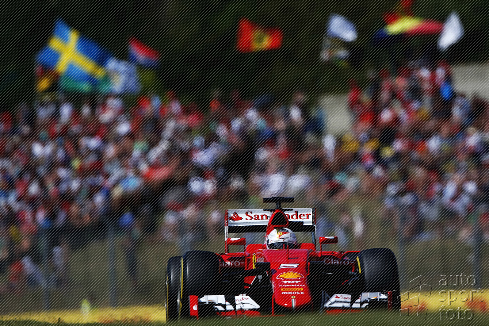 Martin Trenkler;03sun-i8z1301.jpg