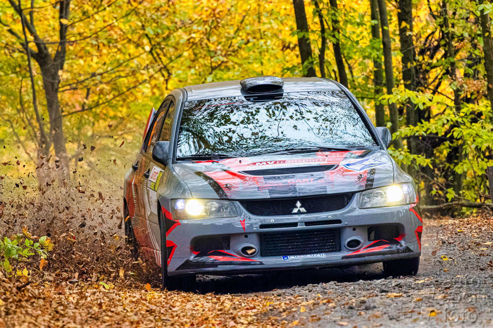 Tibor Szabosi;asf73858-2.jpg