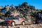Rally Argentina Citroën nedeľa