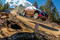 Rally Australia Hyundai, nedeľa