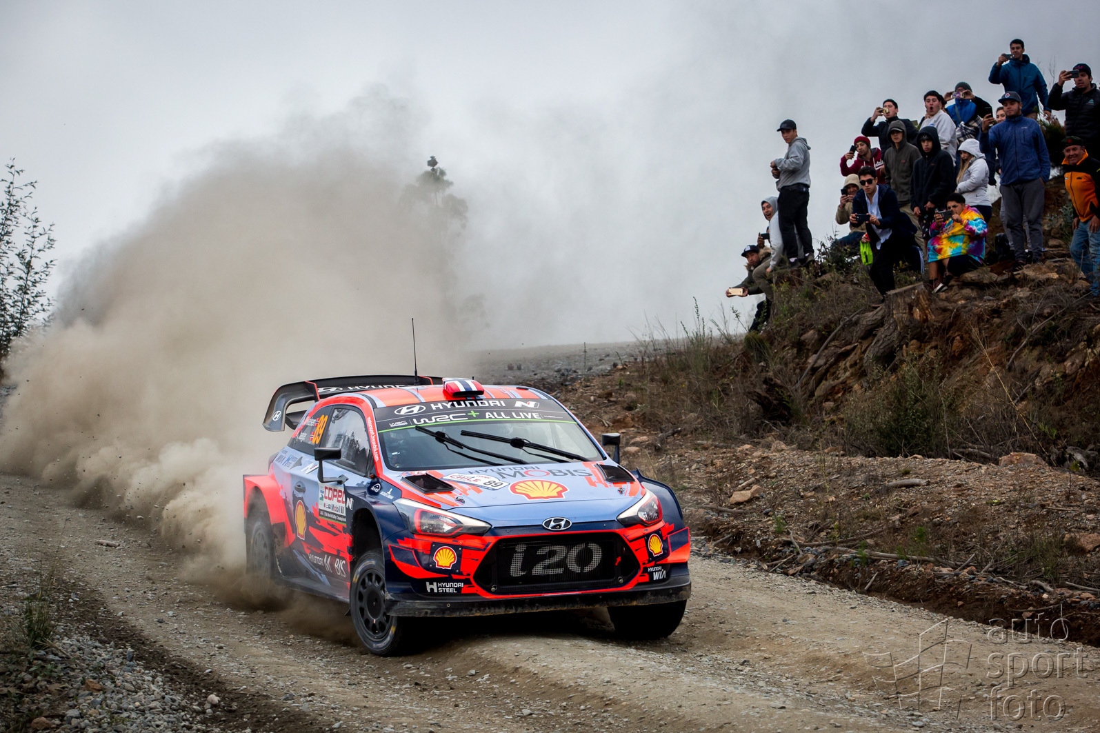 Copyright manufacturer;2019chile-fd-186.jpg