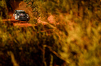 Rally Turkey M-Sport piatok