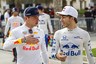 Pierre Gasly reckons Max Verstappen the 'perfect reference' for 2019