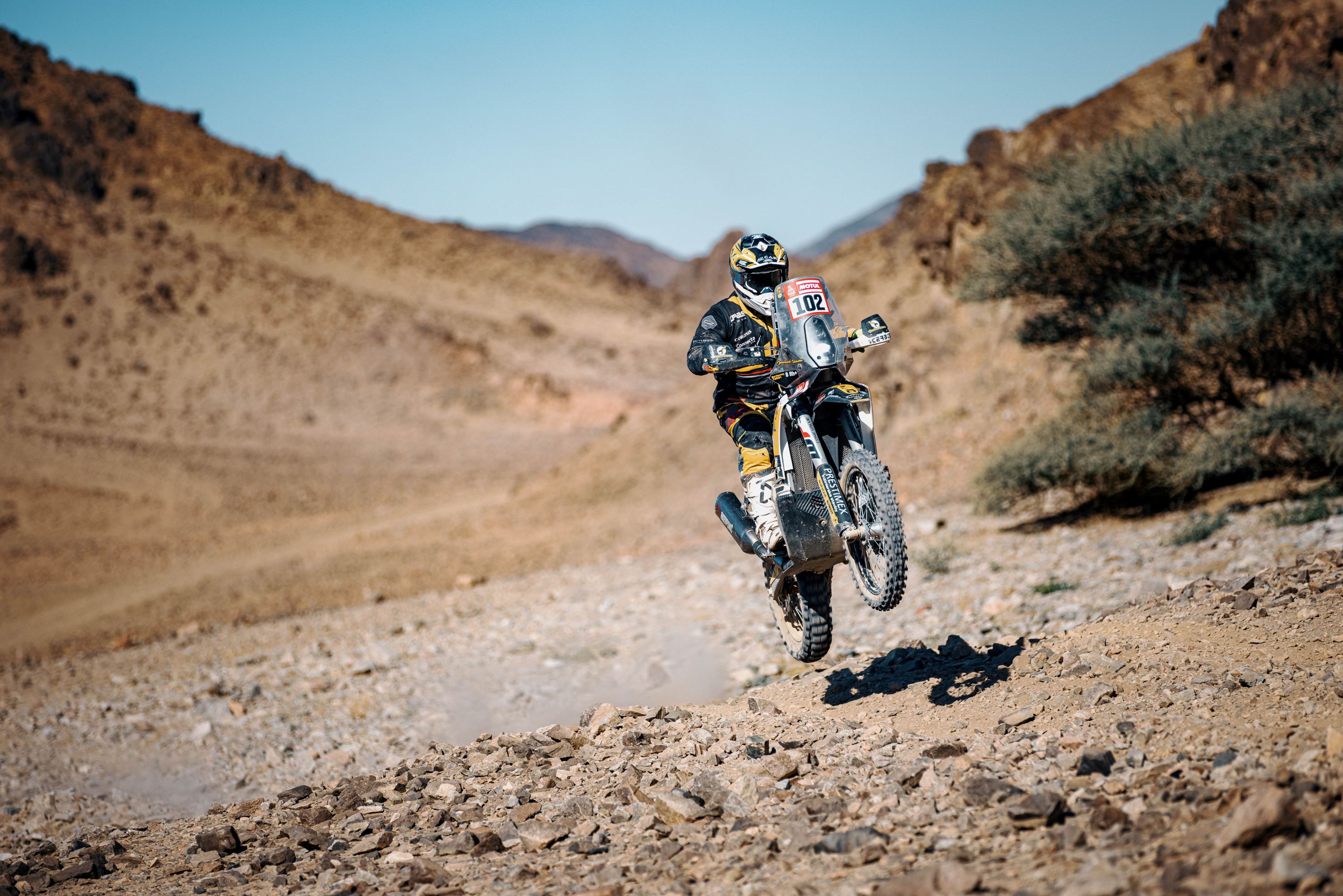 Jantar Team Jantar Team