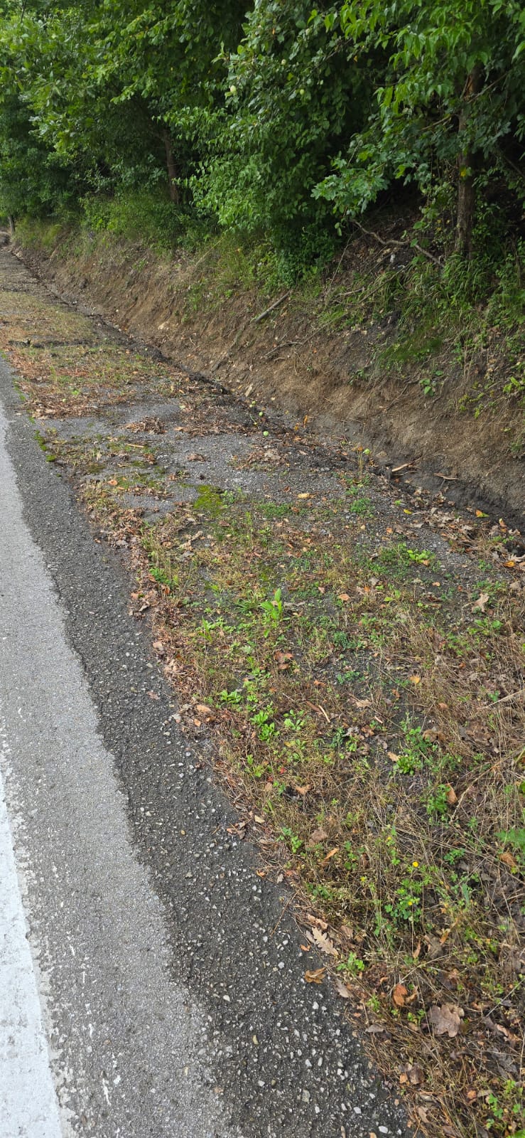 AUTOPOLA Jankov vŕ&scaron;ok 2025