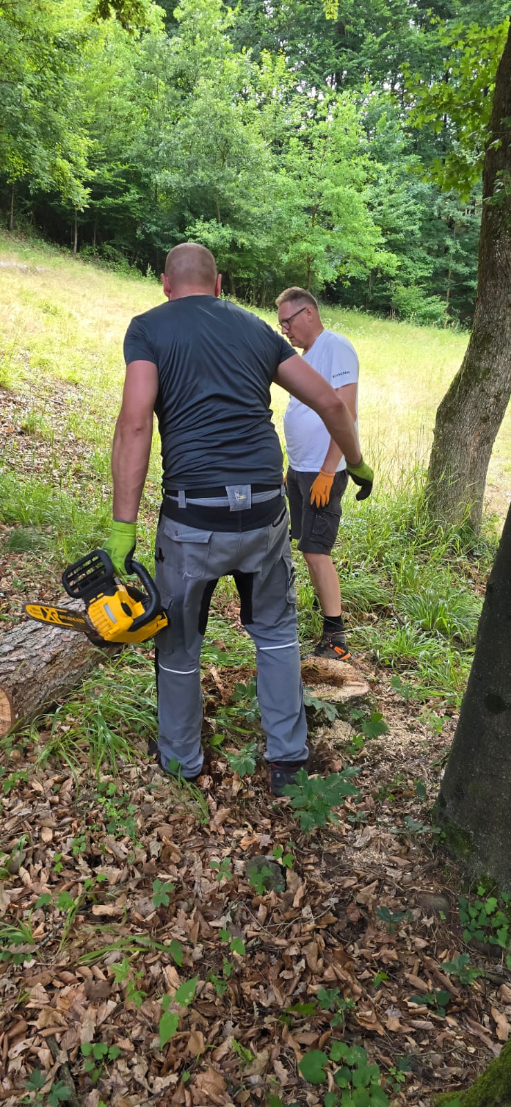 AUTOPOLA Jankov vŕ&scaron;ok 2025