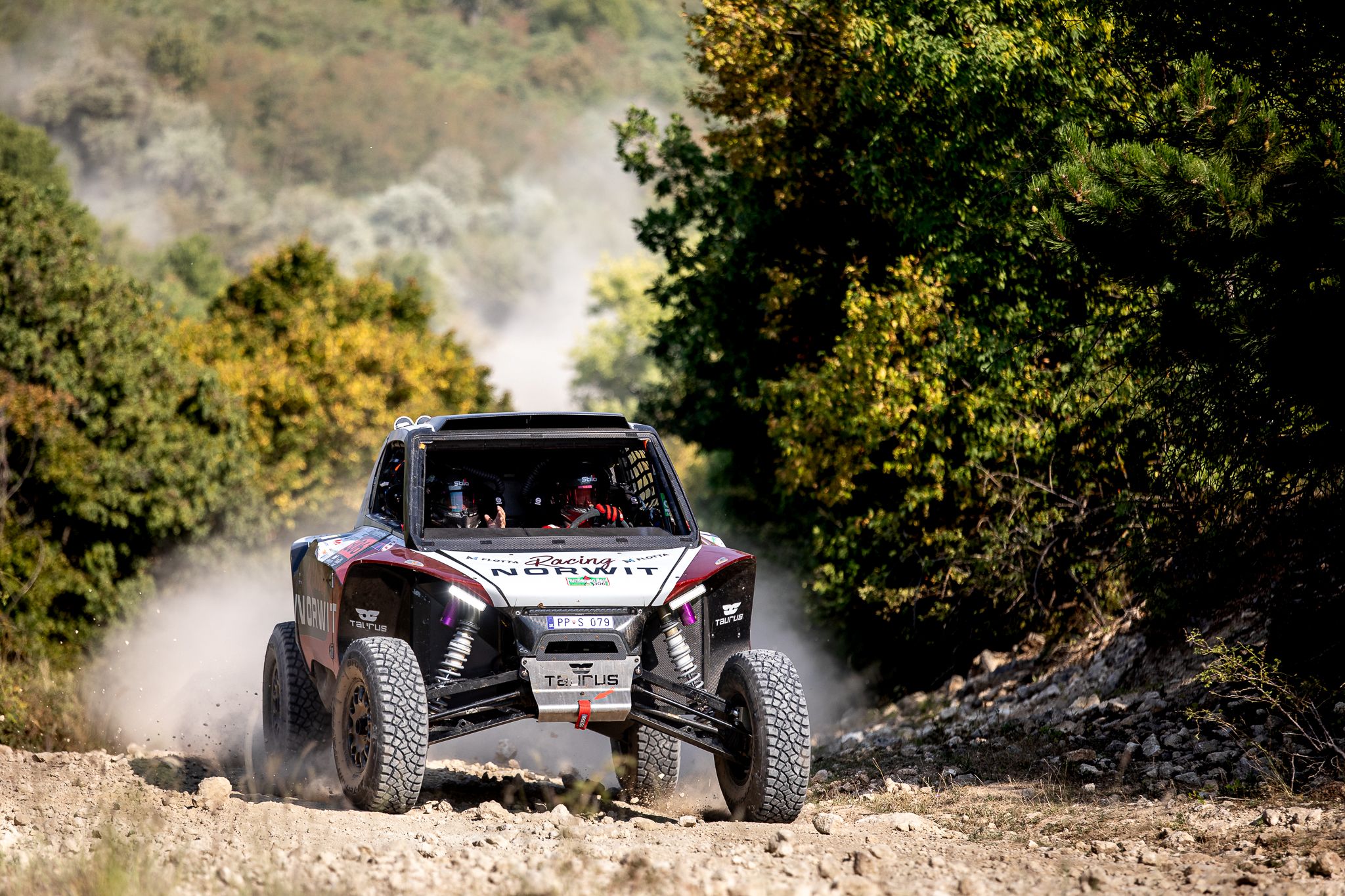 Michal &Scaron;p&aacute;nik