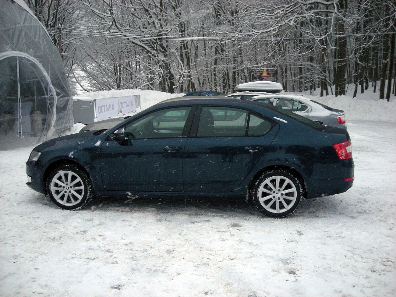 Ivan Václavík; octavia-iii-7584g.jpg
