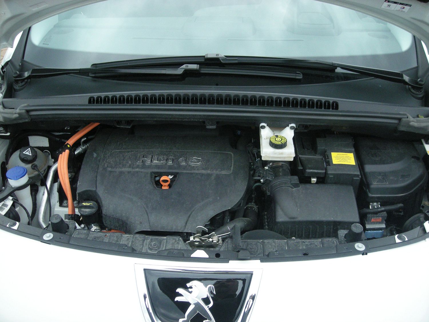 Ivan Václavík; p3008h-6562g.jpg