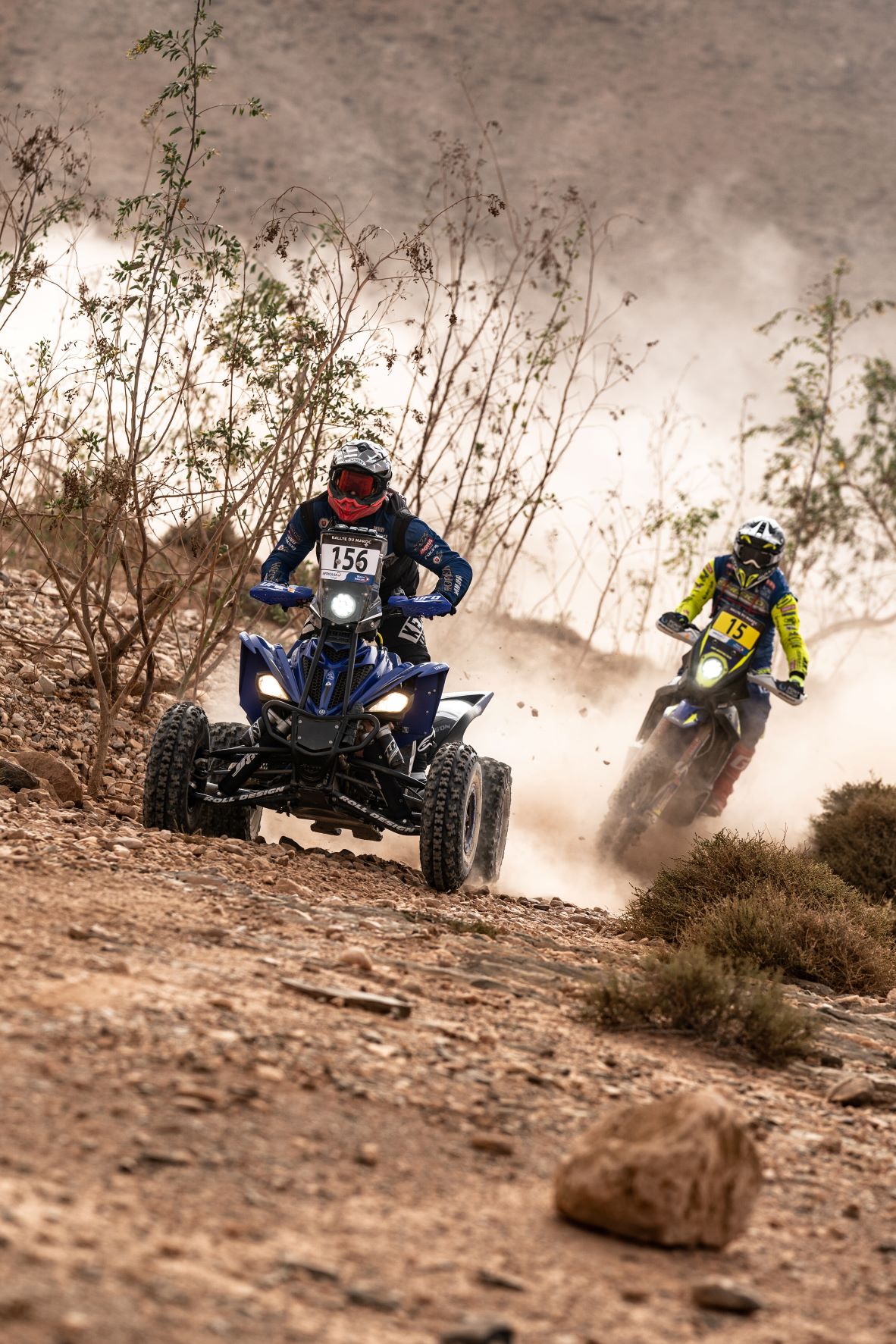 MM Photography MM Photography