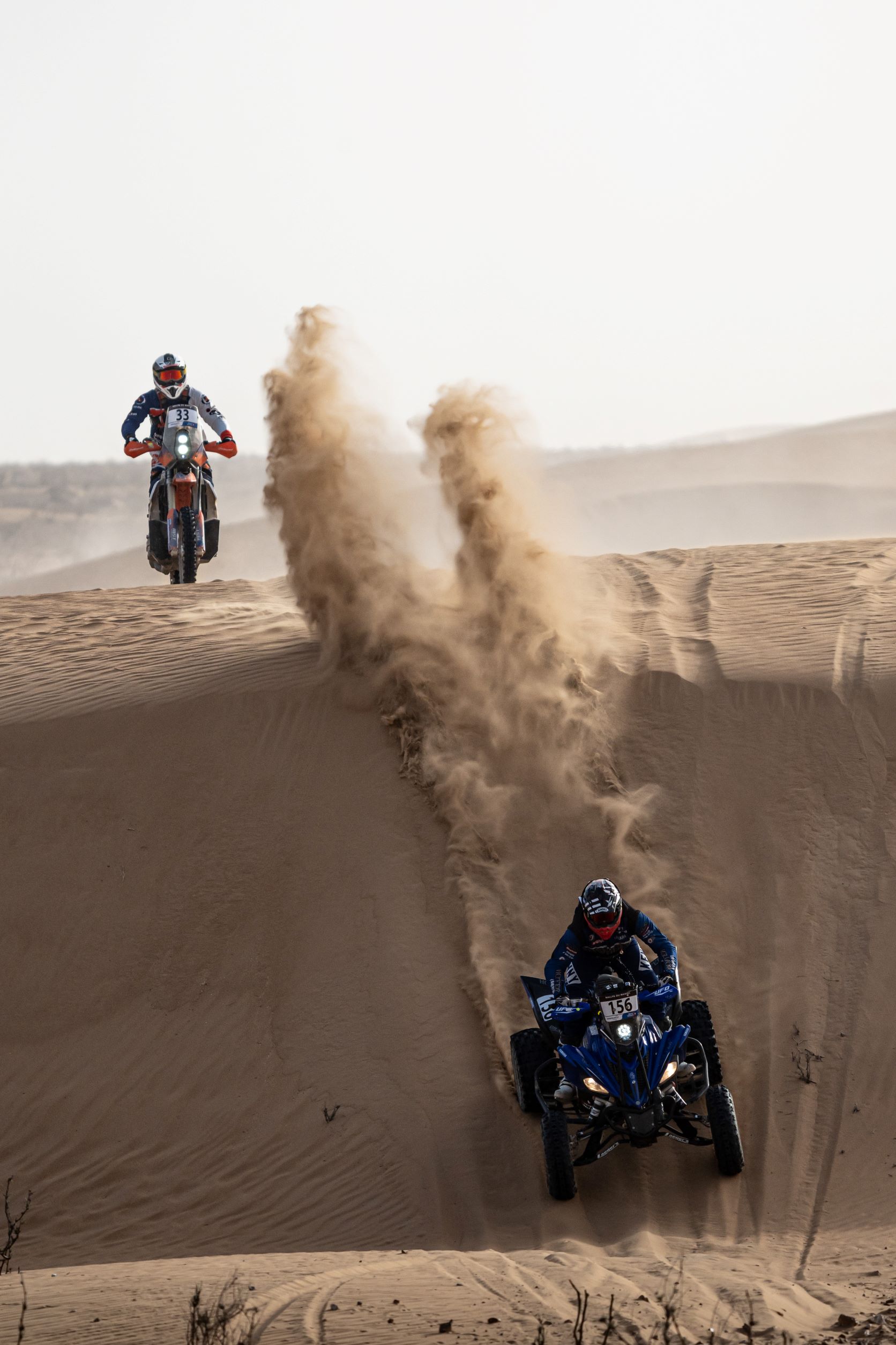 MM Photography MM Photography