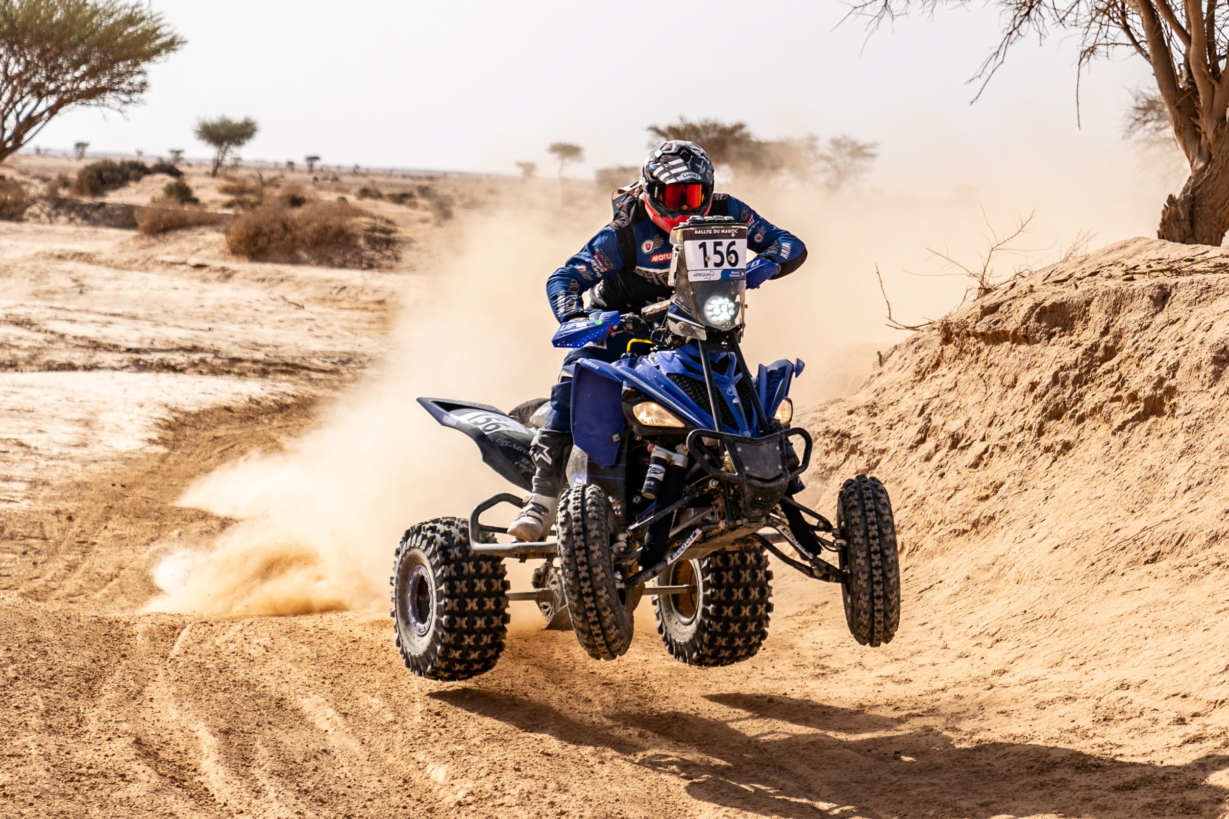 MM Photography MM Photography