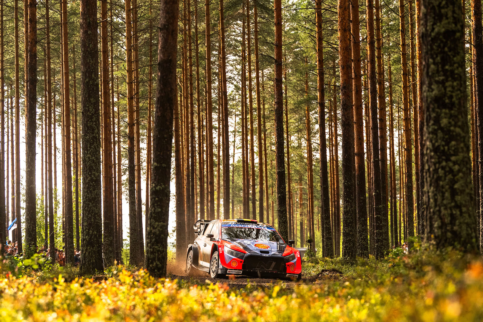 rally-finland-thierry-neuville.jpg