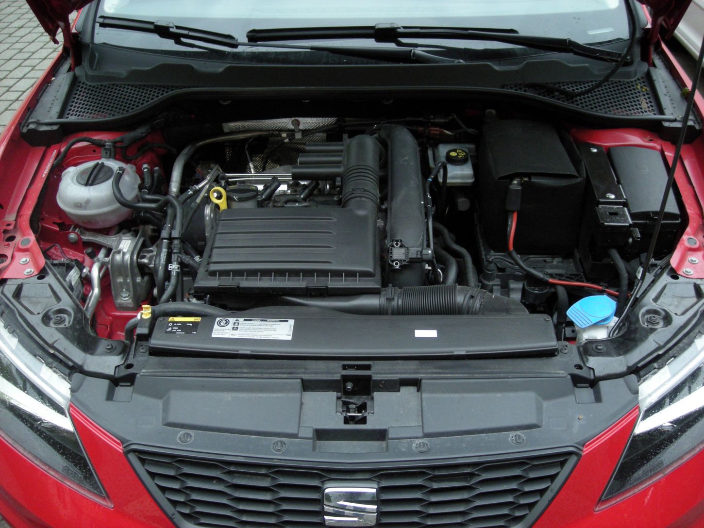 seat-homola-0267g.jpg