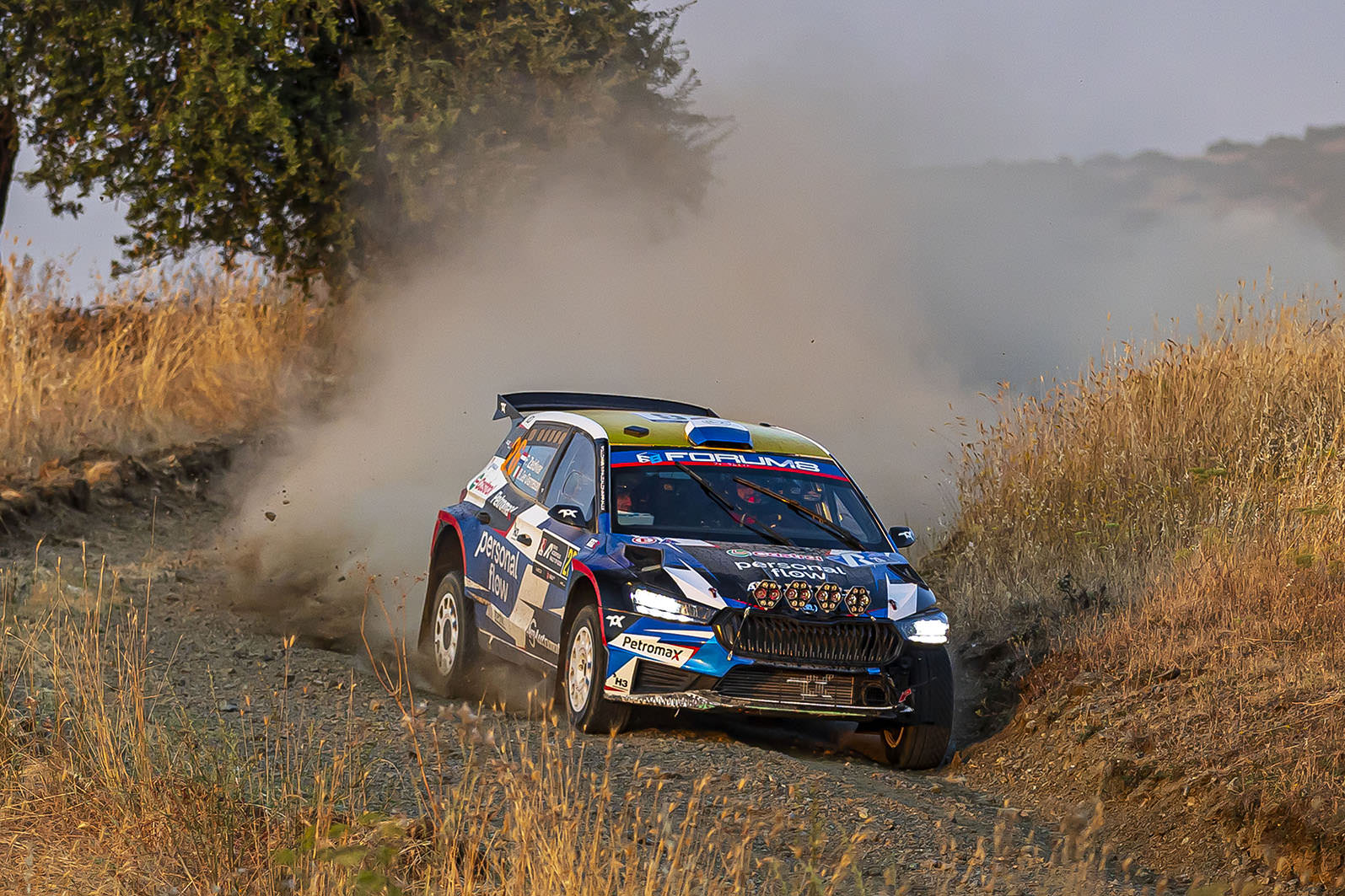 skodamotorsport-rallychile-zaldivar.jpg