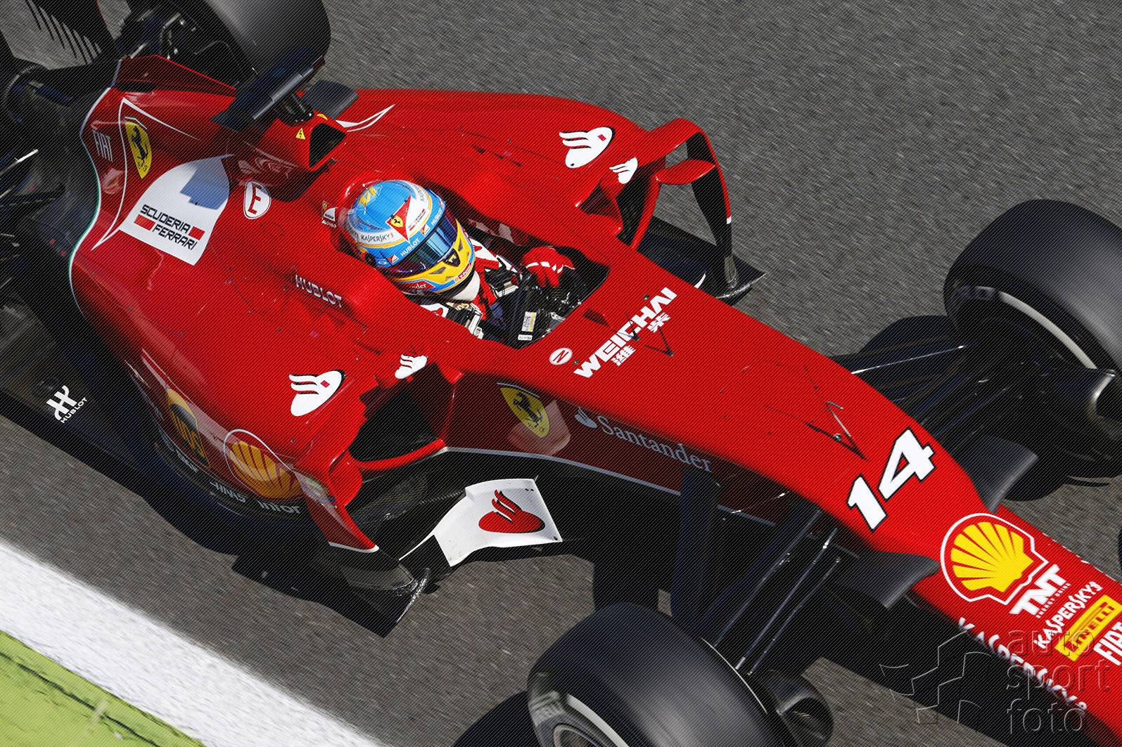 Martin Trenkler;v8q7678.jpg