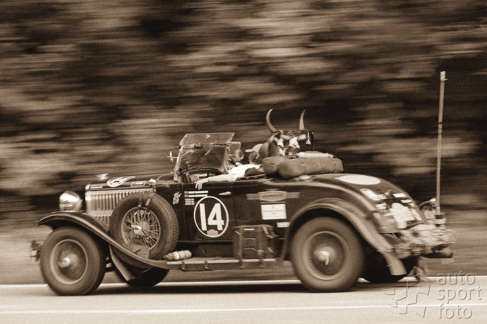 Tibor Szabosi;gh7p5210-2.jpg